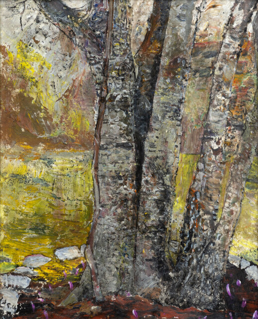 5 Trees & Wandering Jew
