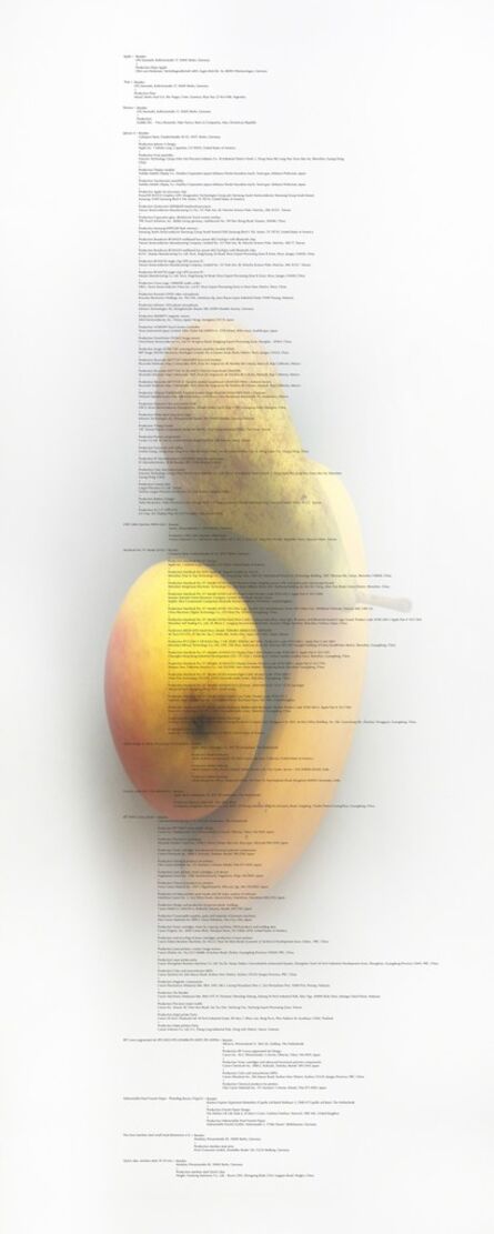 Anne de Vries, ‘Image Transfer ‘Banana, Apple and Pear Image Transfer’’, 2012