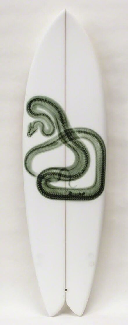 Steve Miller, ‘Surfboards, Snake (G-onW) 2014’, 2014