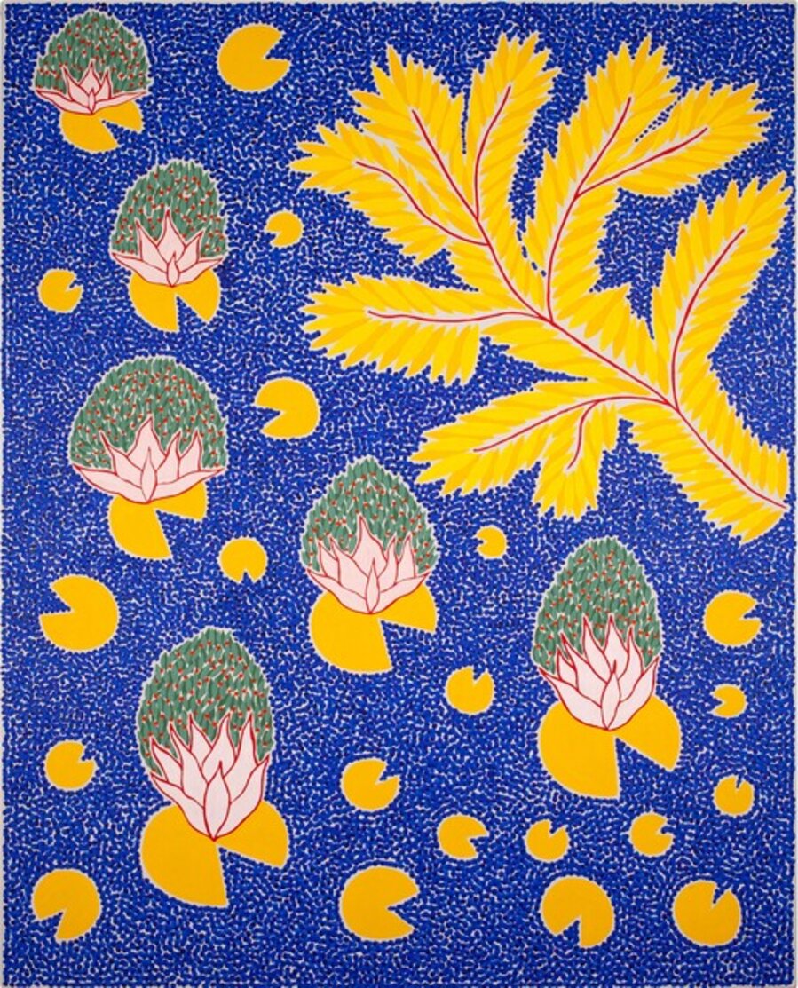 Water Lilies That Look in Your Eyes