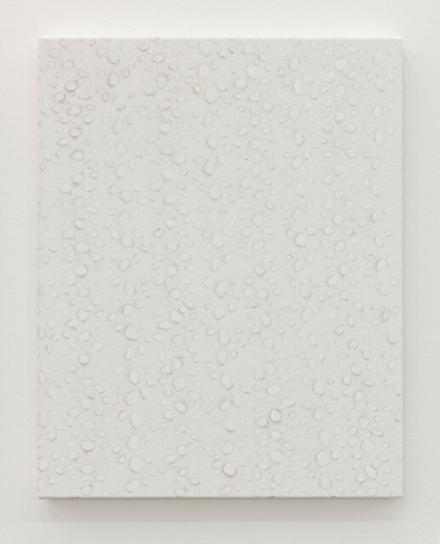 Untitled (Net Curtain)