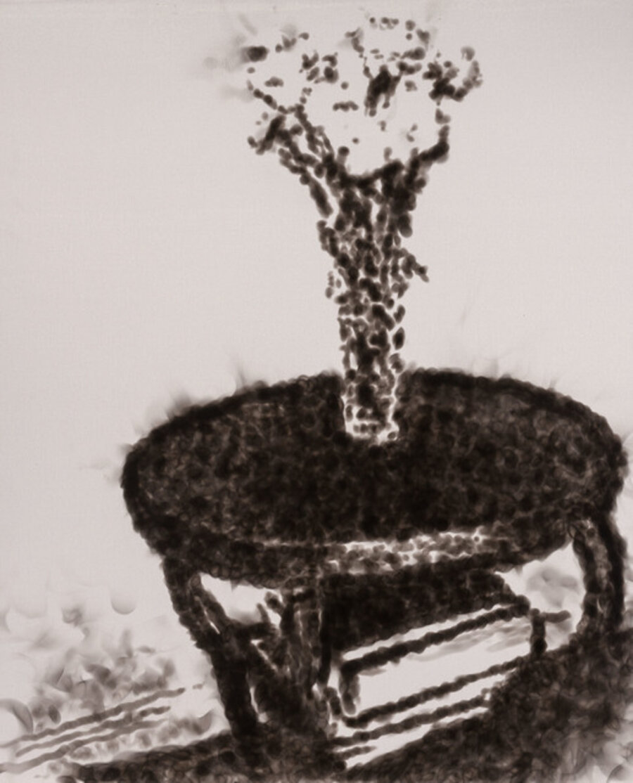 Flores Sobre Una Mesa
