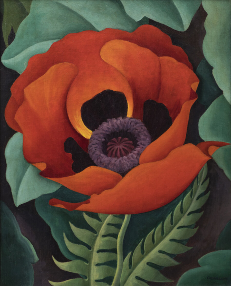 Poppy