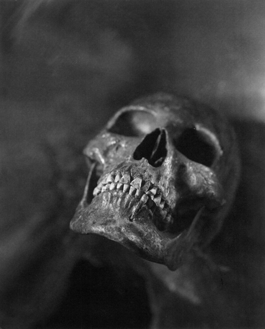 Skull #11