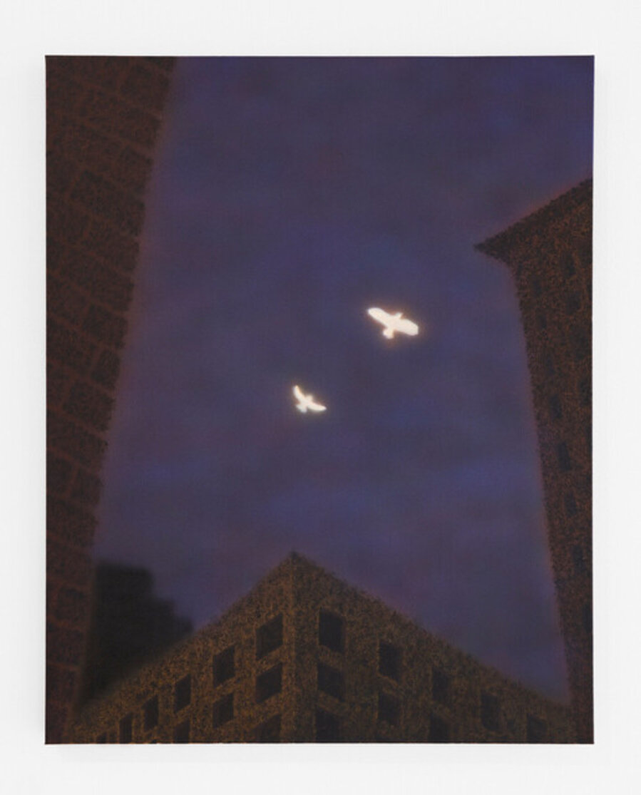 Little Birds Pricked by Thorns, Searching For a Place to Rest