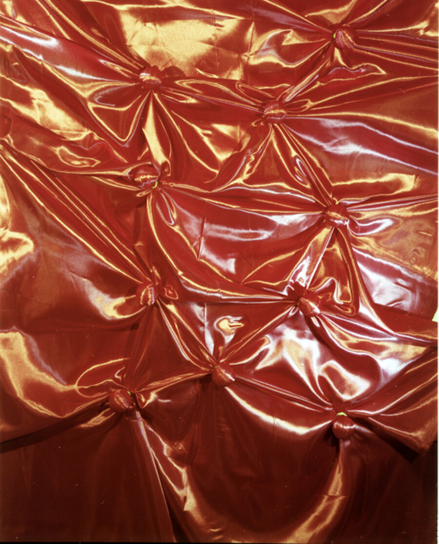 Other Picture #4 (Swaddled Organs)