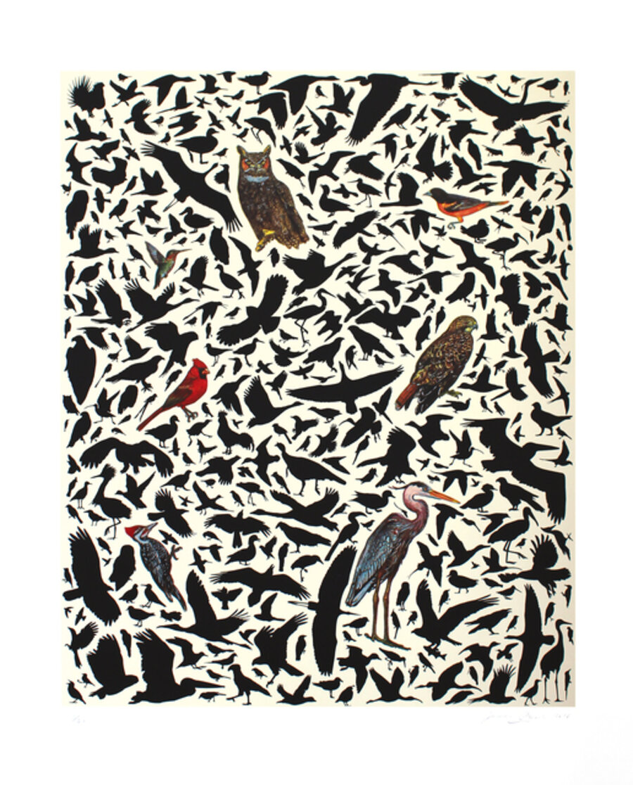 Avian Composition