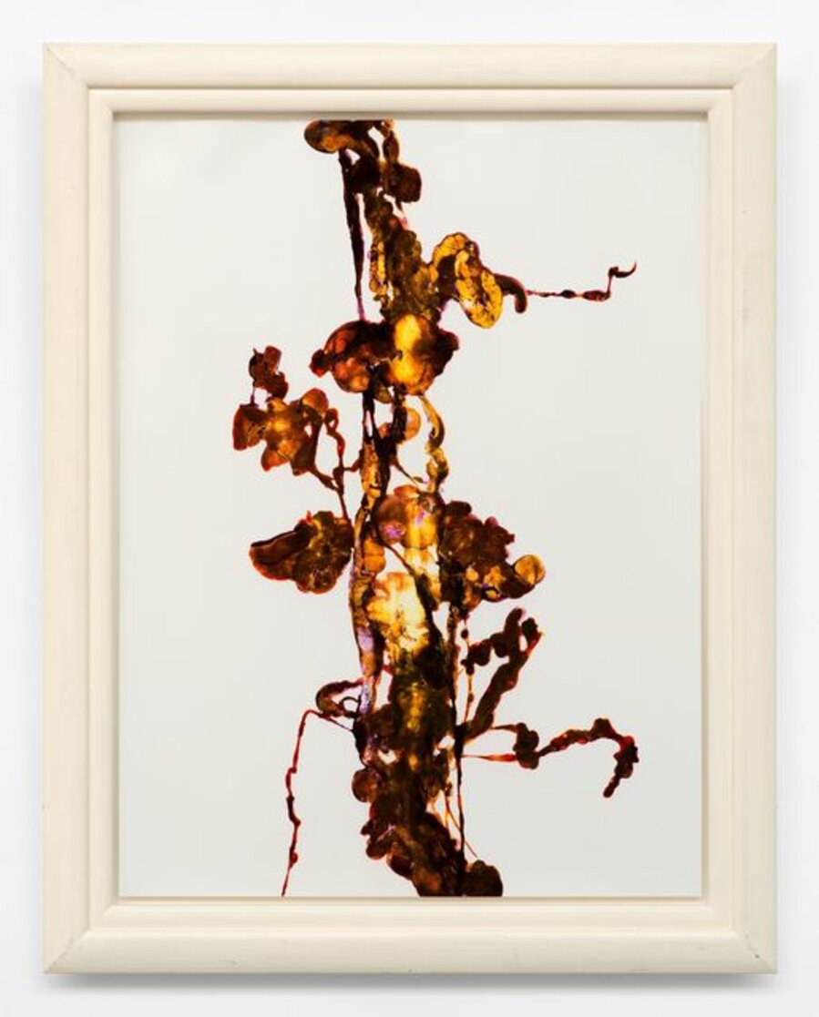 From the series "Details of Love"