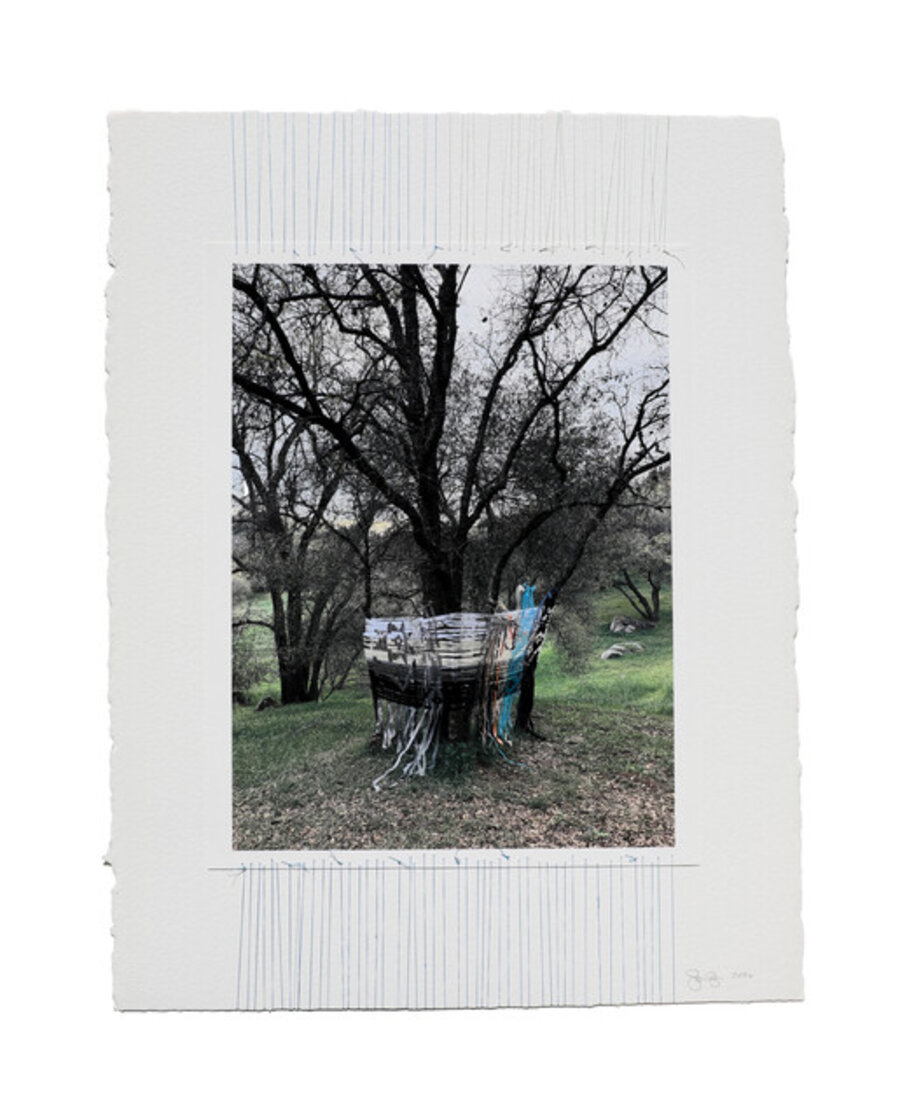 Tree Weaving 11