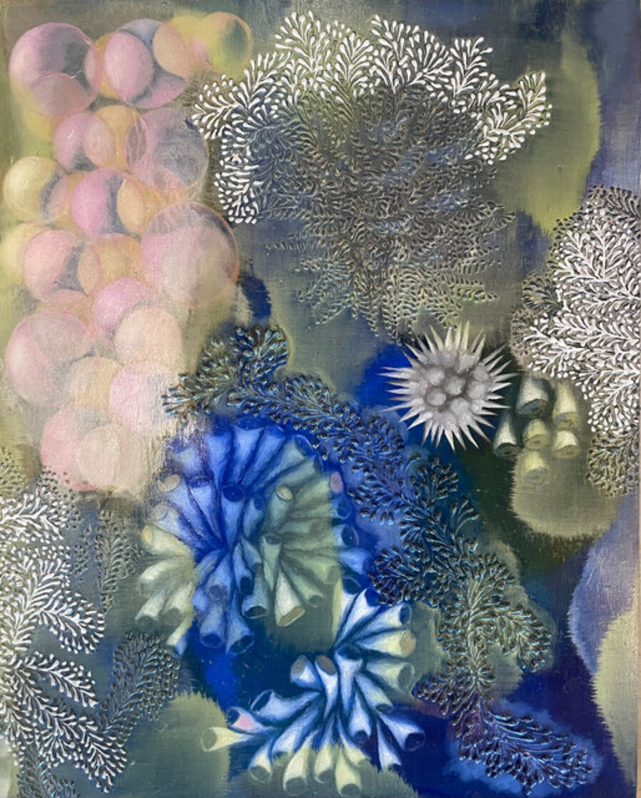 Hydnellum