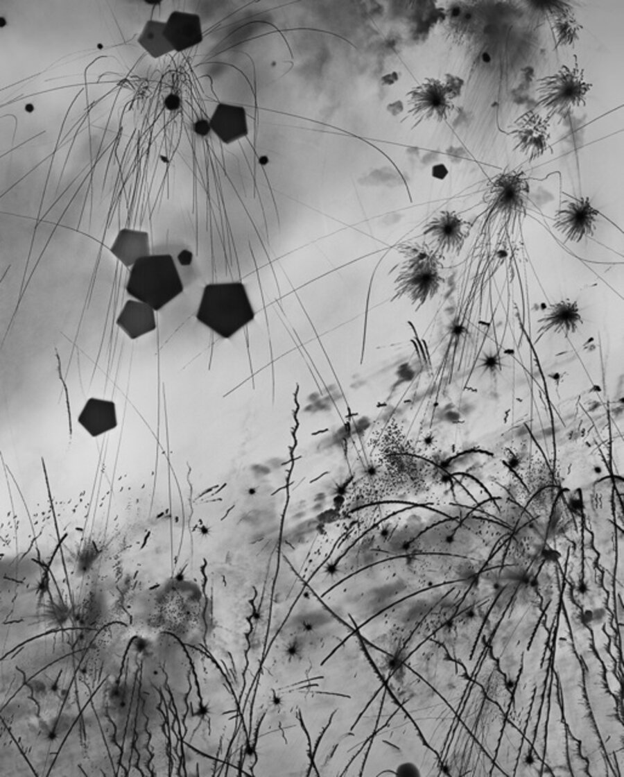 Untitled X