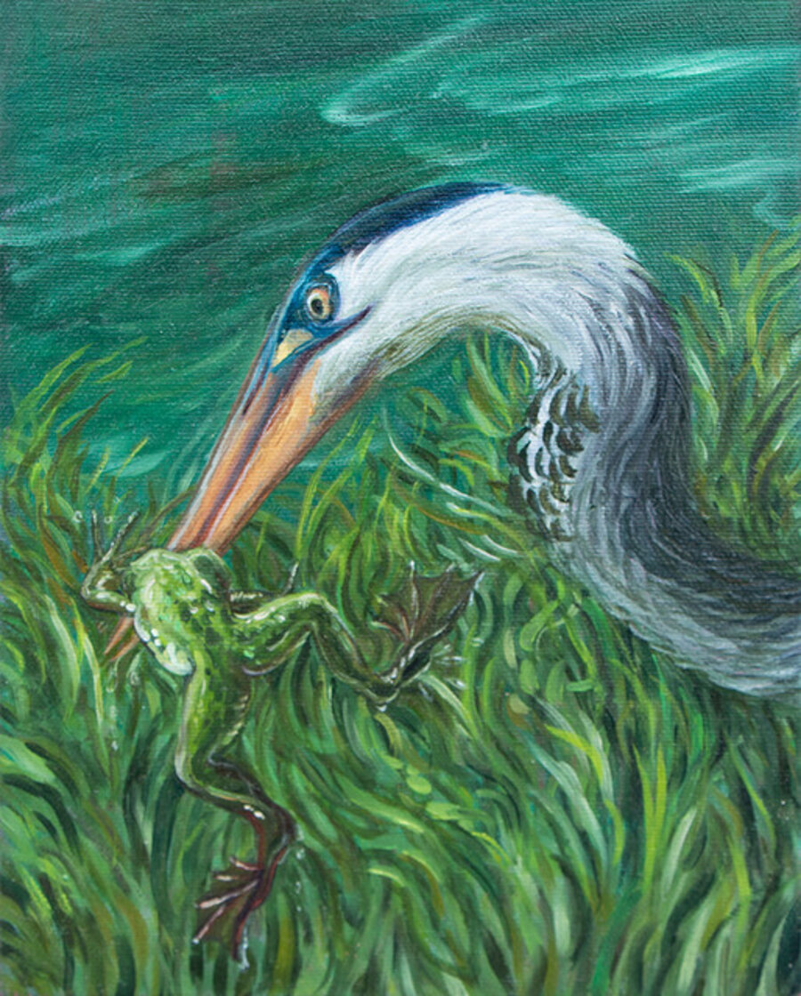 Heron