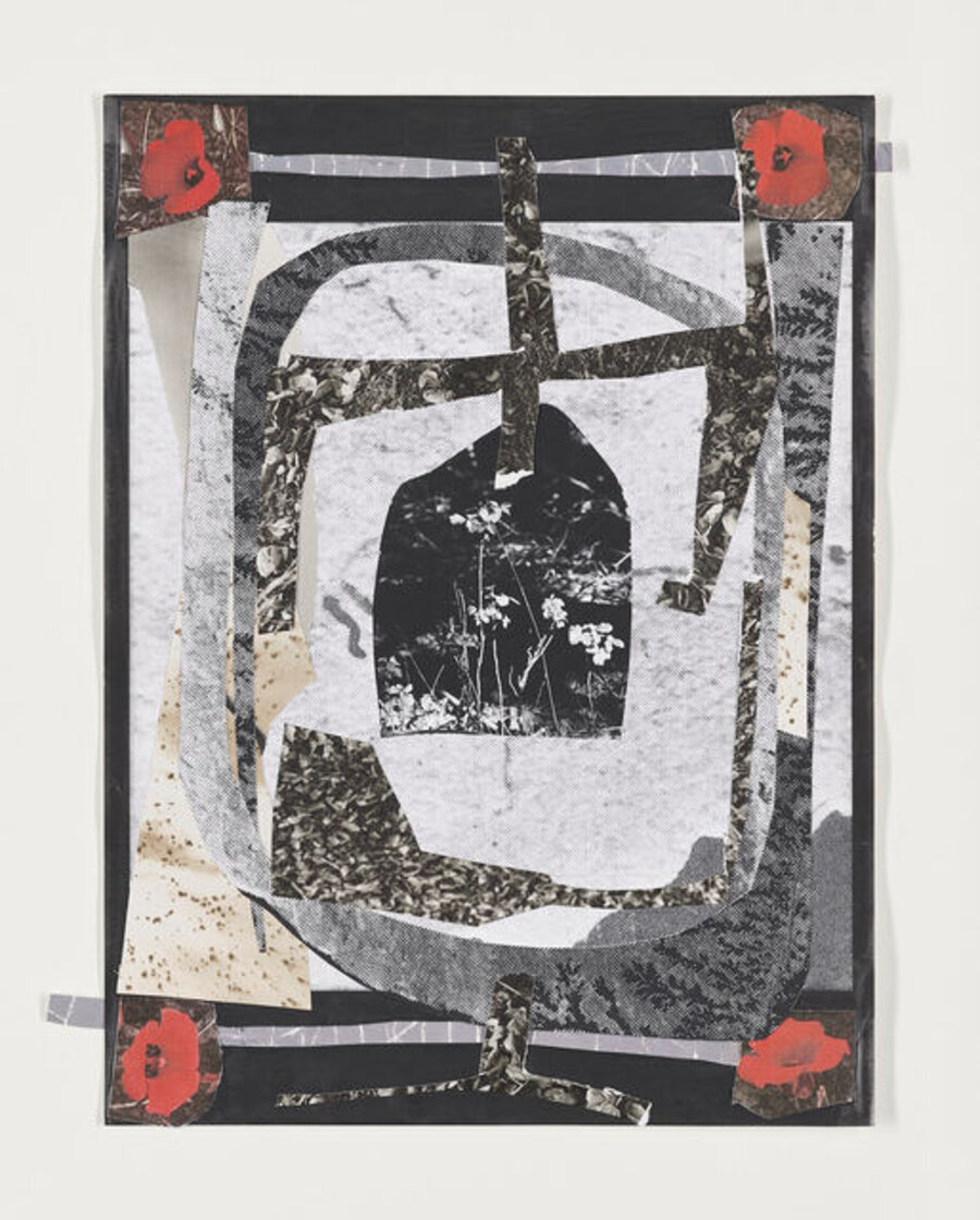 A Quilt for the Poison