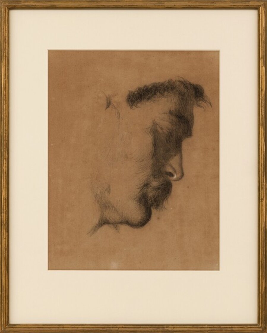 Portrait of a Man’s Head