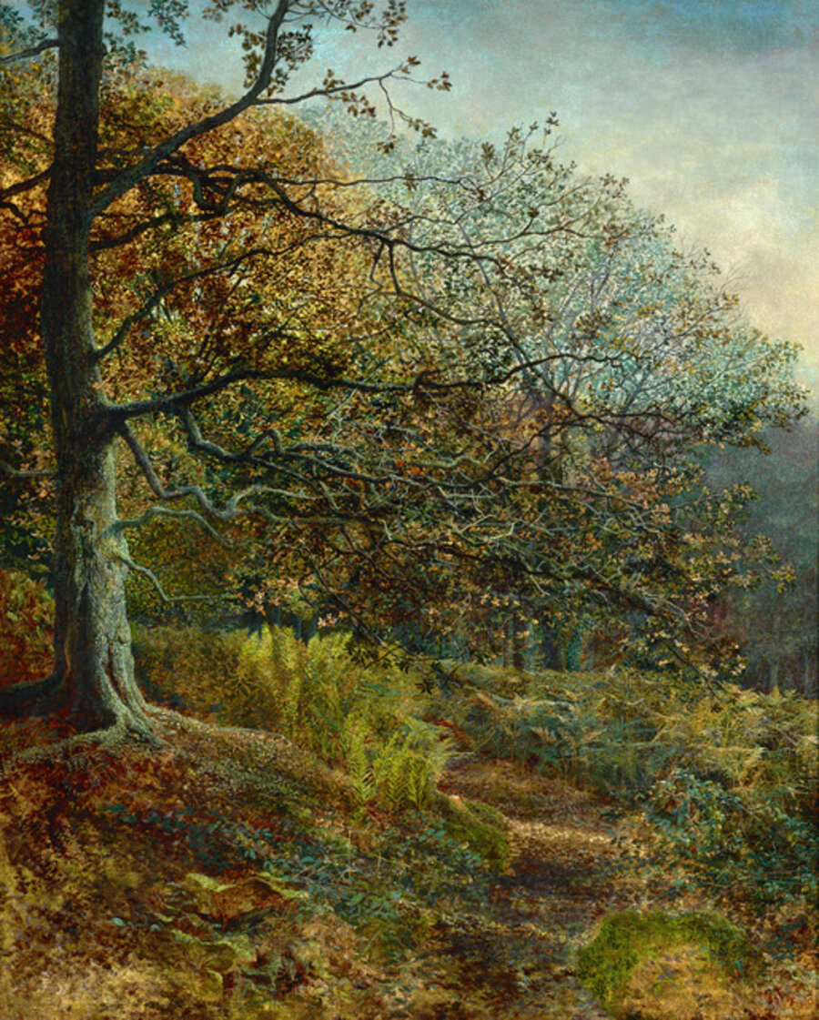 Woodland near Leeds
