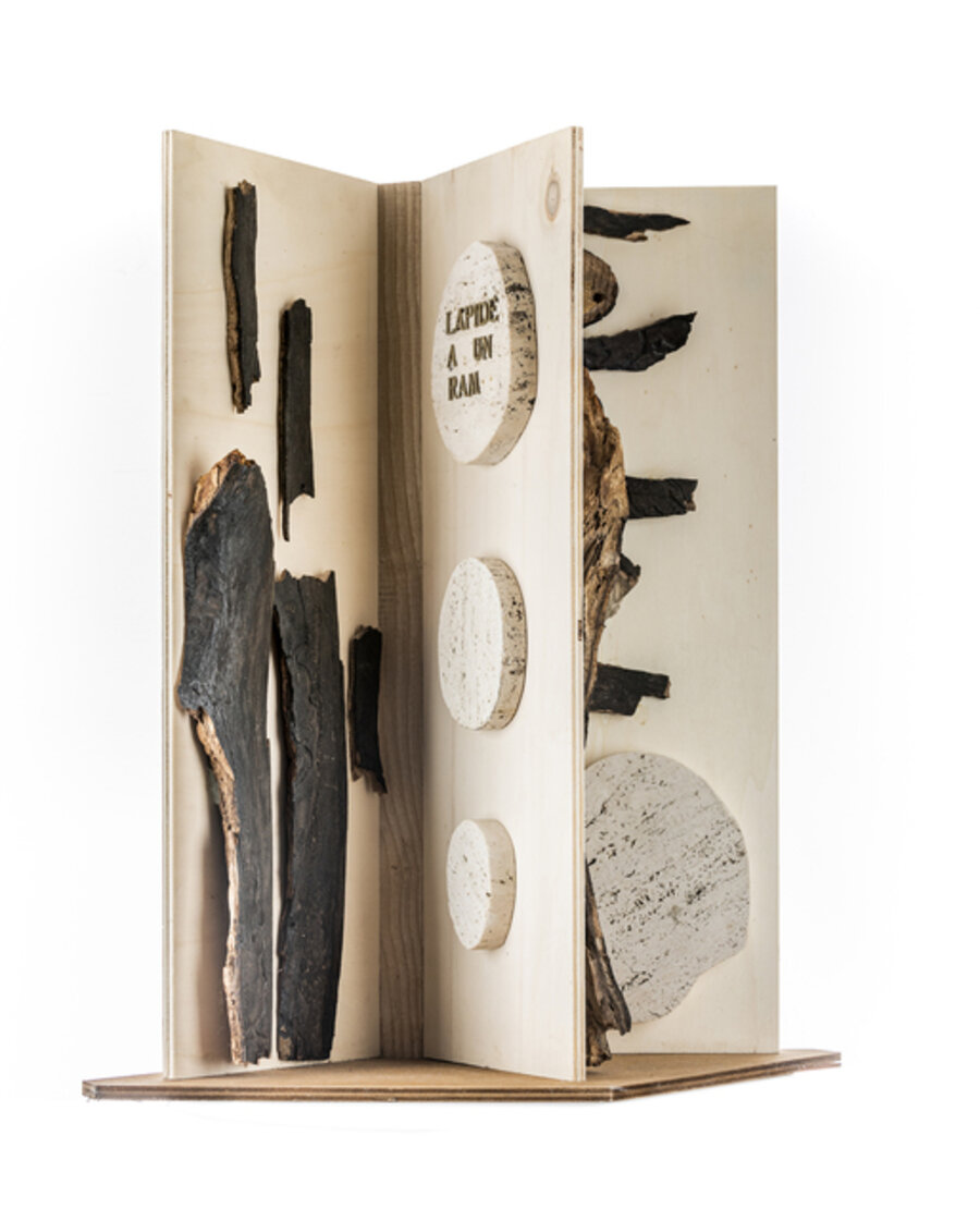 LIBE”R - libro del saggio faggio