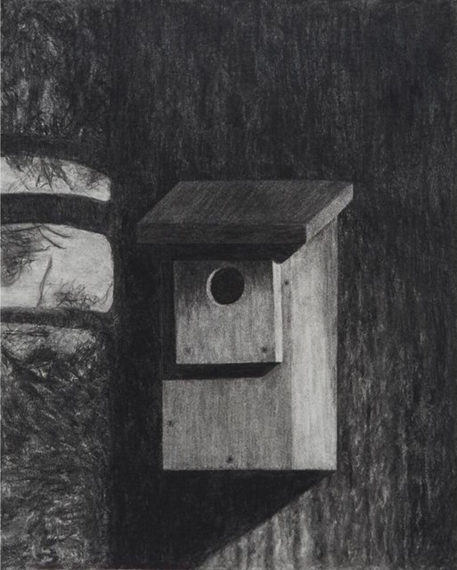 Bird House (#268)