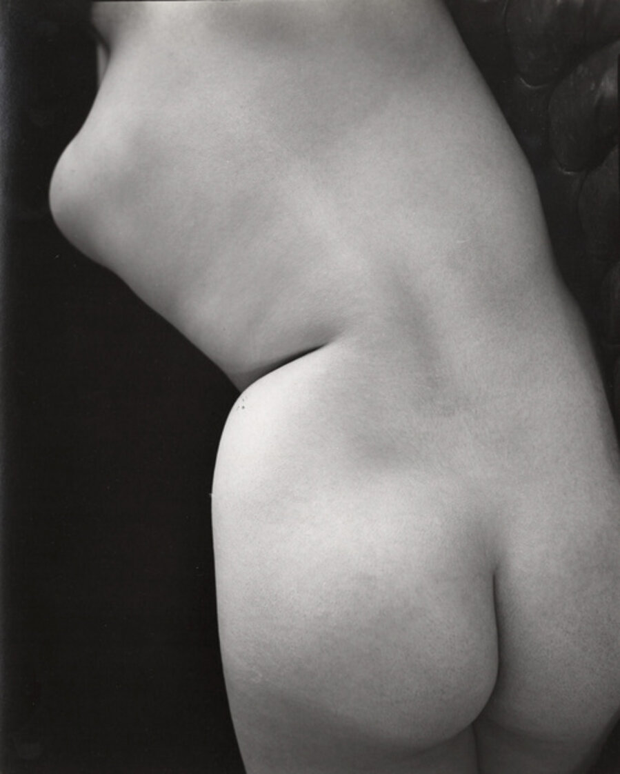 Untitled (Nude torso back bent)