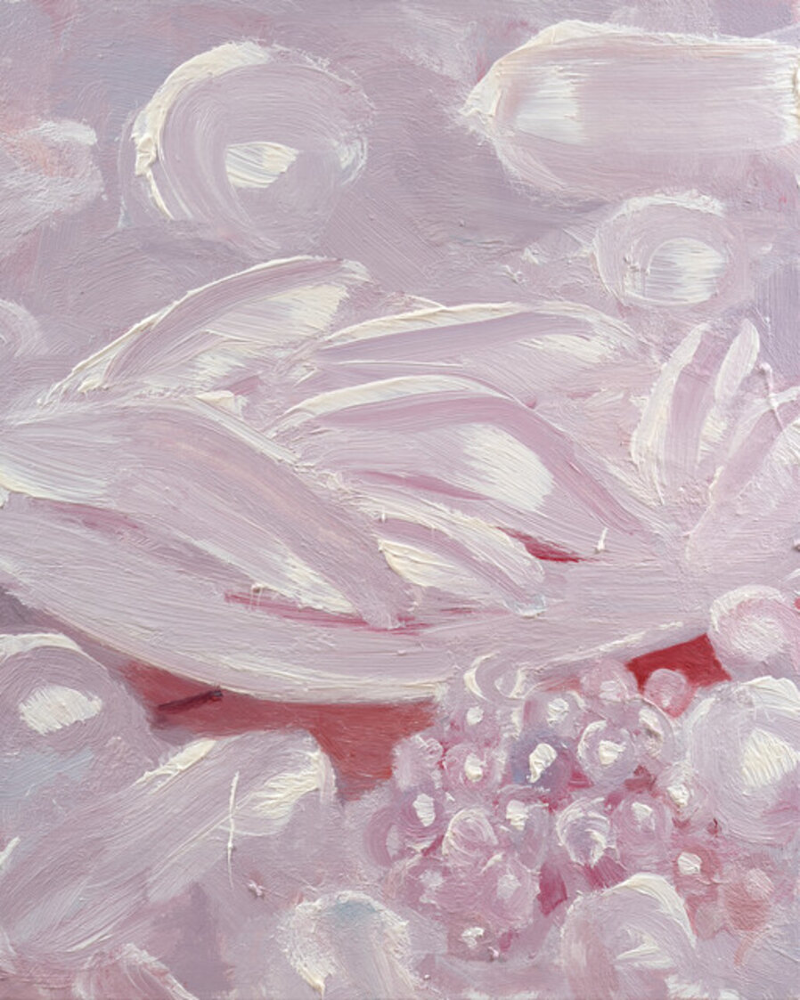 No(t) Pink #202411_7q-5