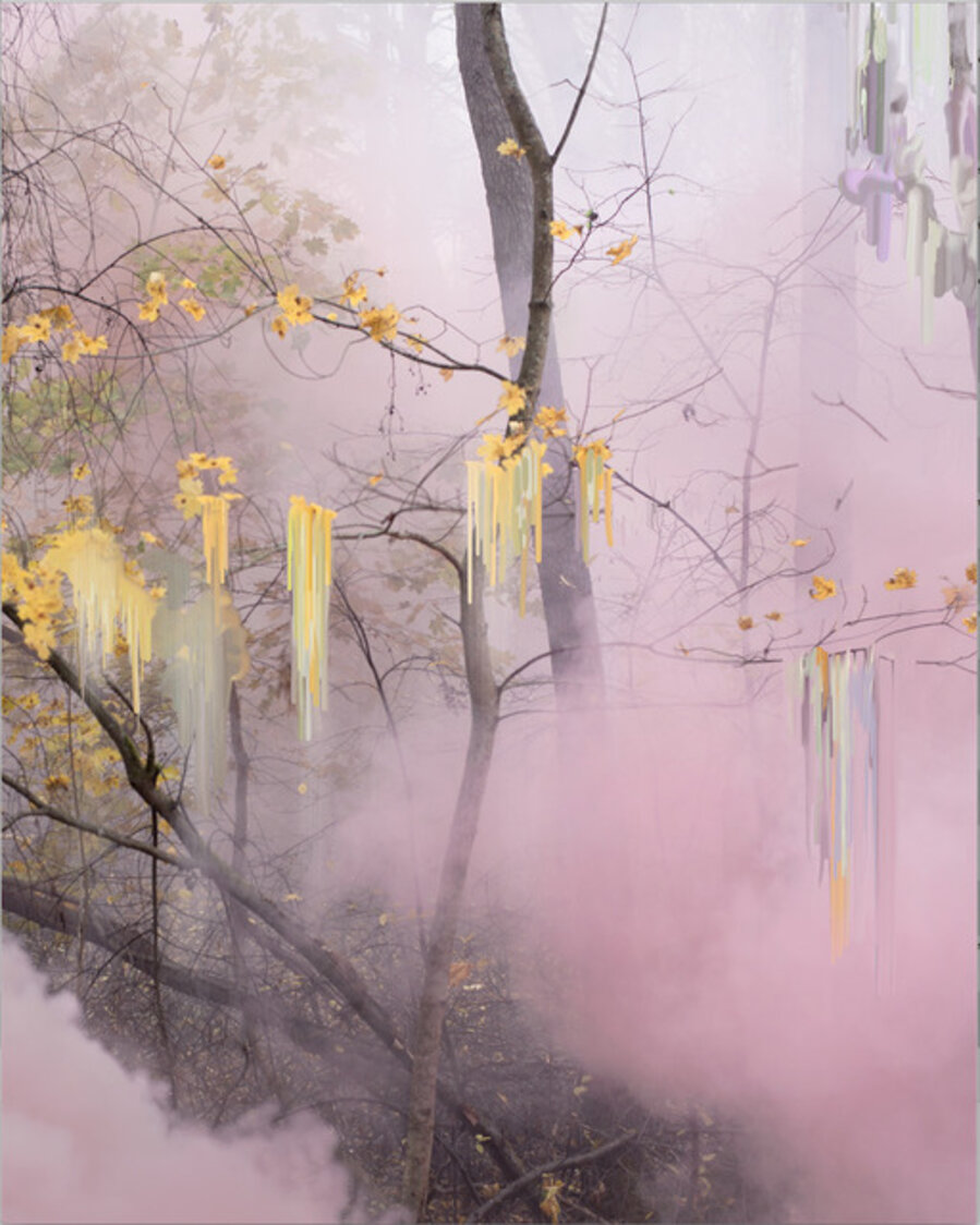 Untitled (Forest 8)