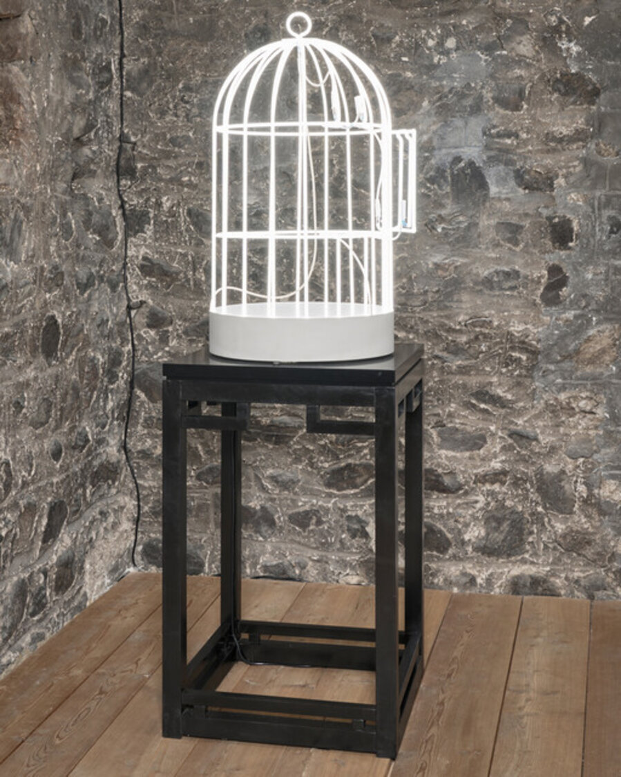 Bird Cage (in collaboration with Jean-Lou Majerus)