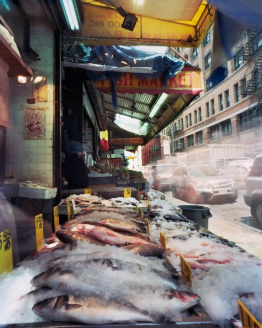 Fish Market, Mott Street between Hester and Grand, June 8, 2012