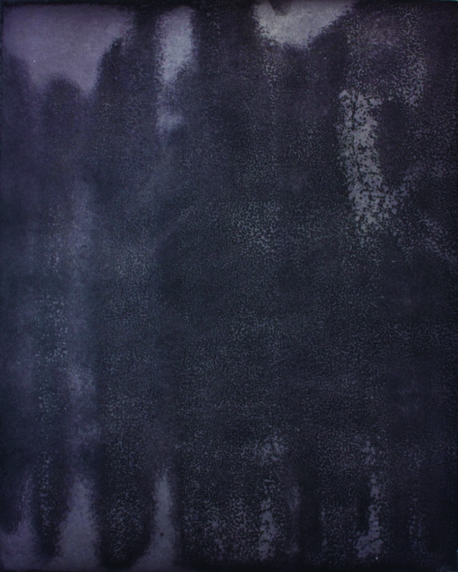 Untitled (Nuxibuxbaase Awadee)