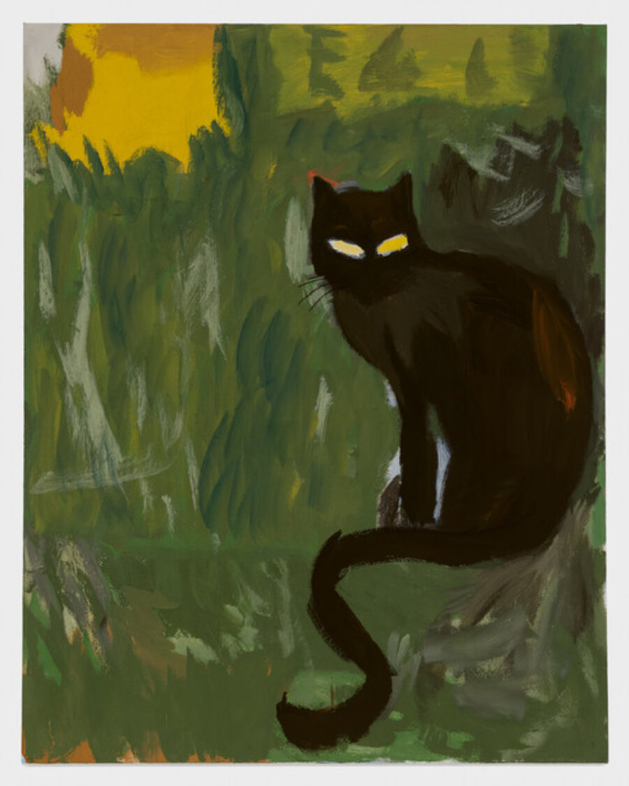 Sitting Cat Looking Out