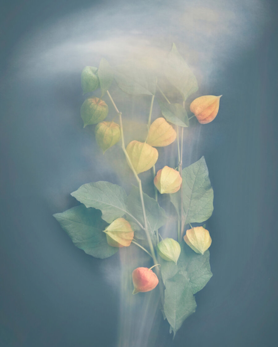 Chinese Lanterns