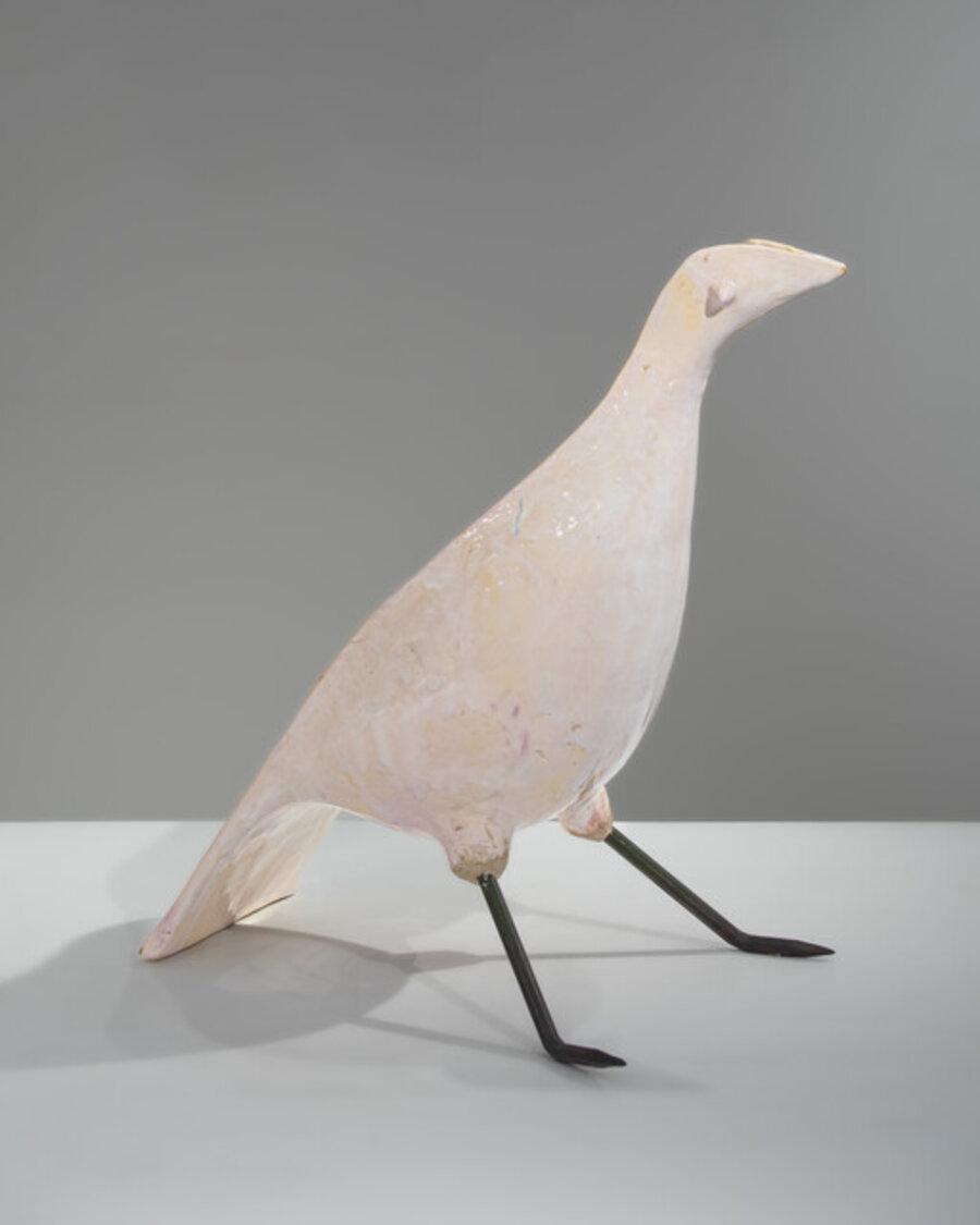 Oiseau lumineux