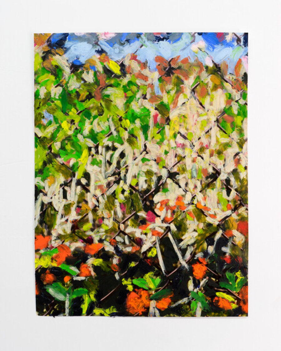 Untitled, DD