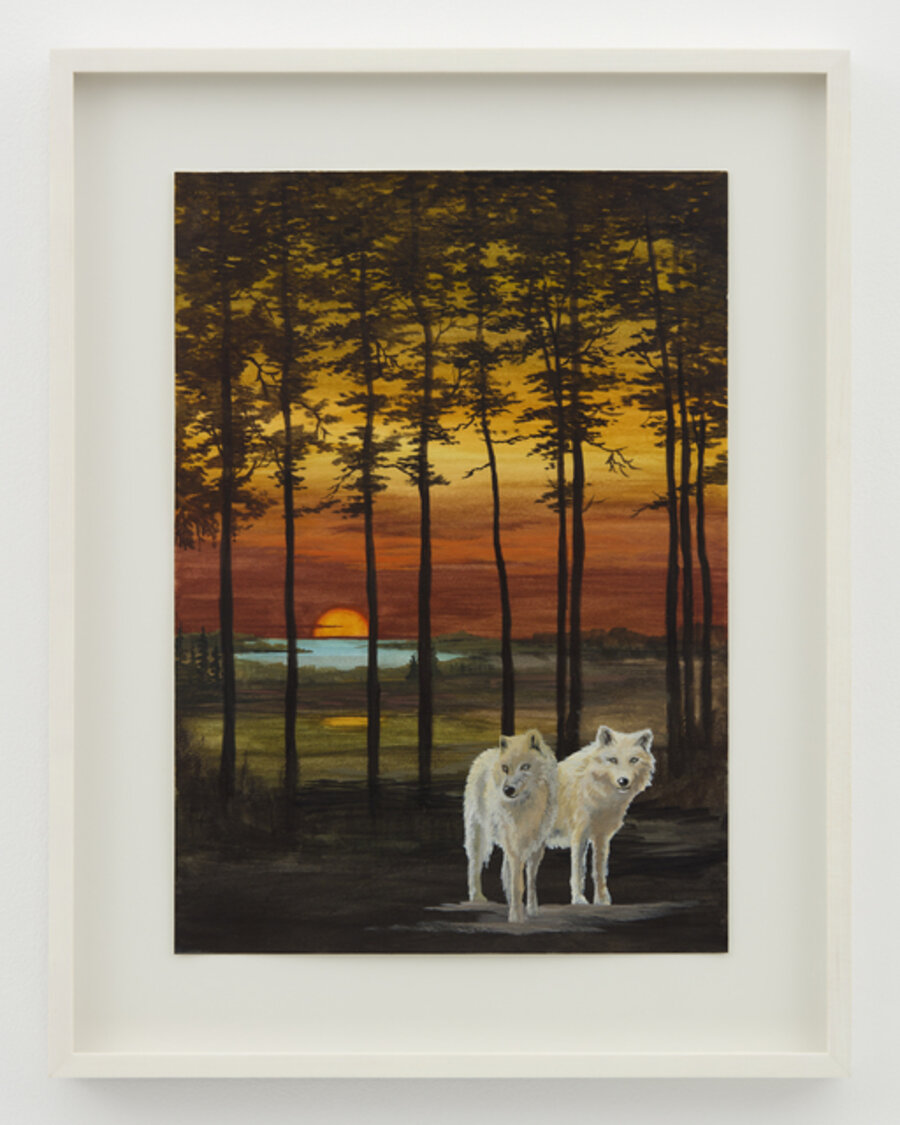 Arctic Wolf Sunset