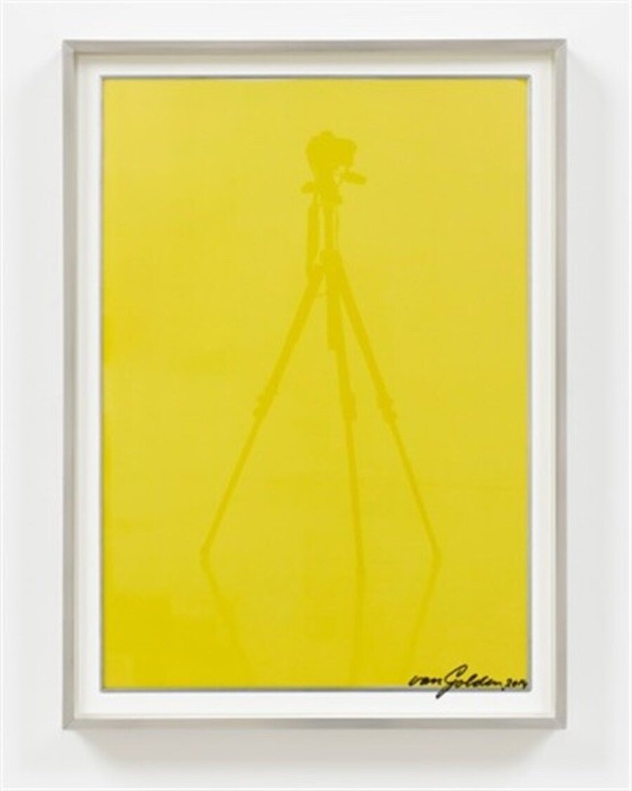 Yellow Reflection