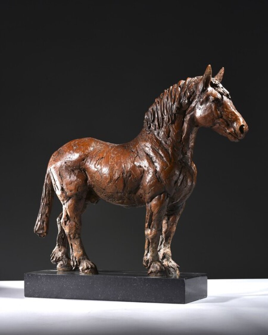 Suffolk Punch