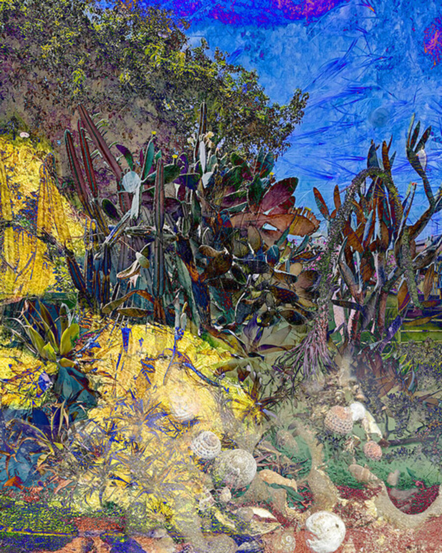 Home Dreams 10 - Cactus Ocean