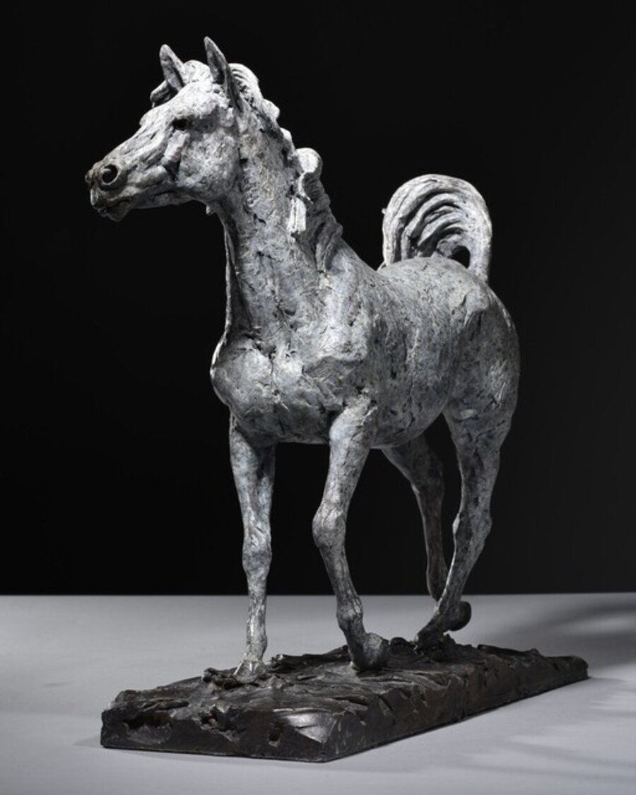 Arabian Horse