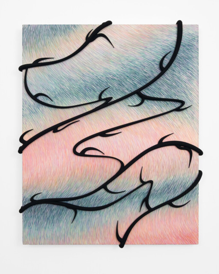 Plexus