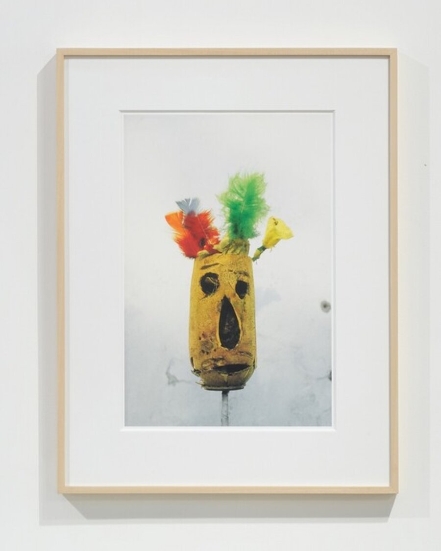 Untitled (Pumpkin)