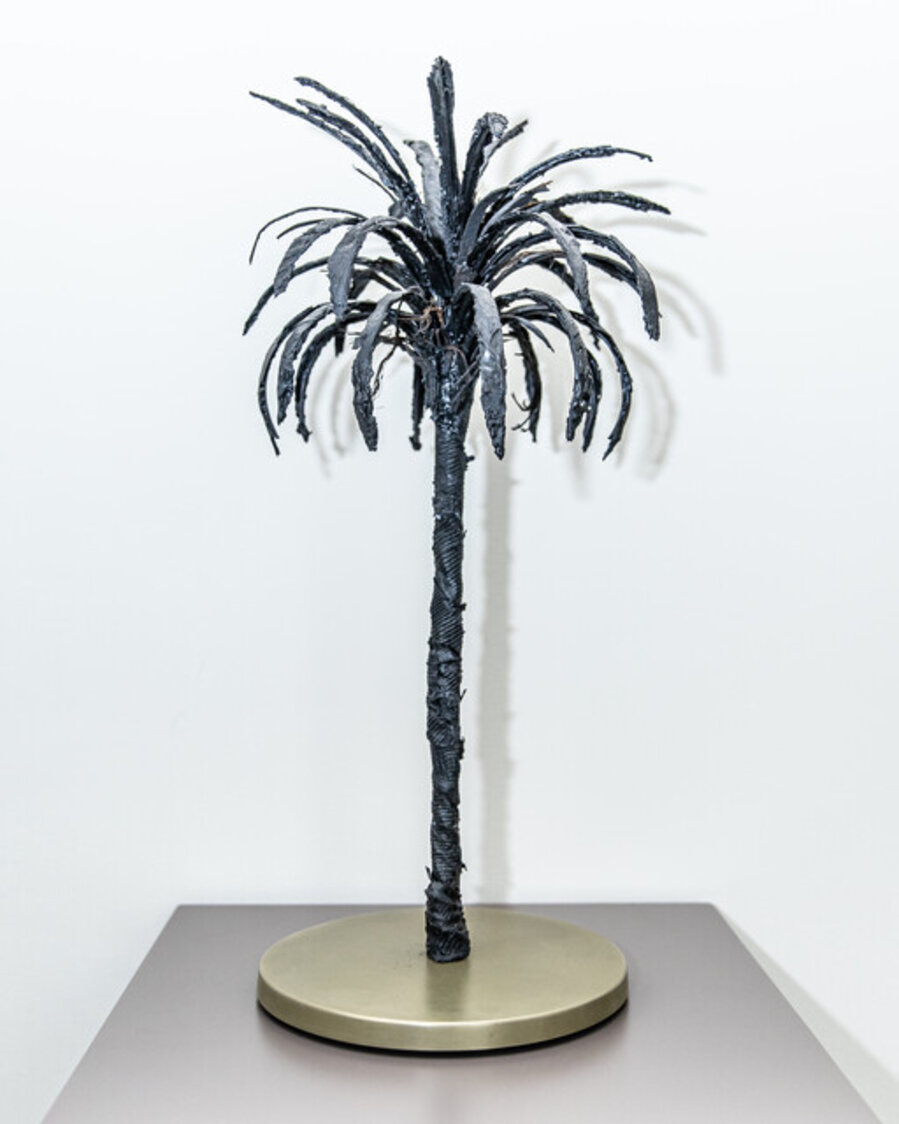 Black Palm 2