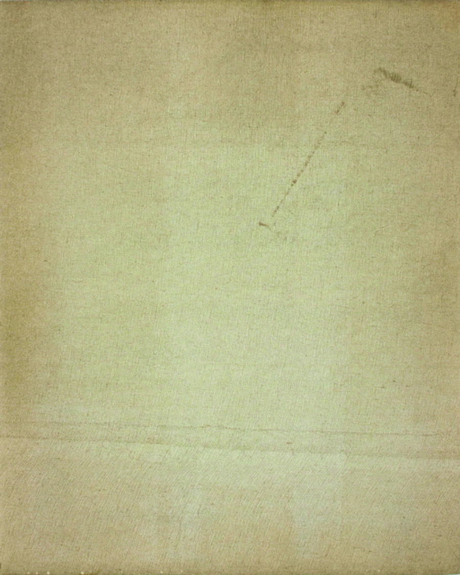 Untitled ( Net)