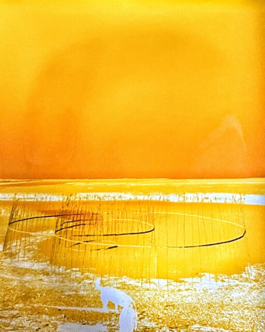 R is for Reeds, Provincetown, Mass (Cross-Colour Series and Gay to Z Series)