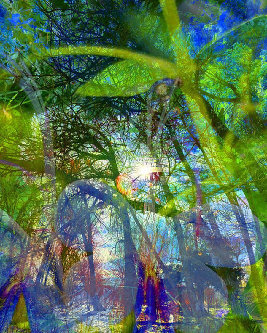 Home Dreams 02 - Sun Forest