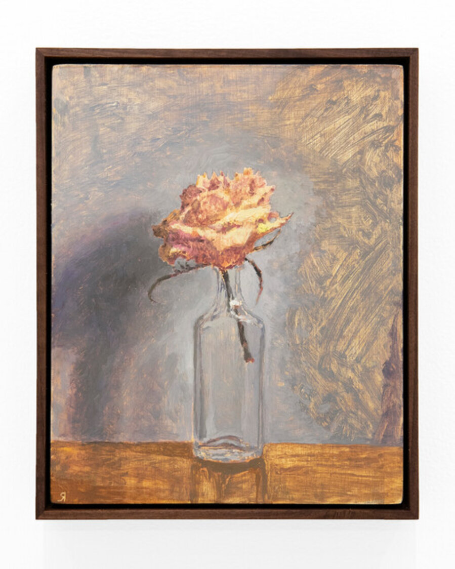 A Rose