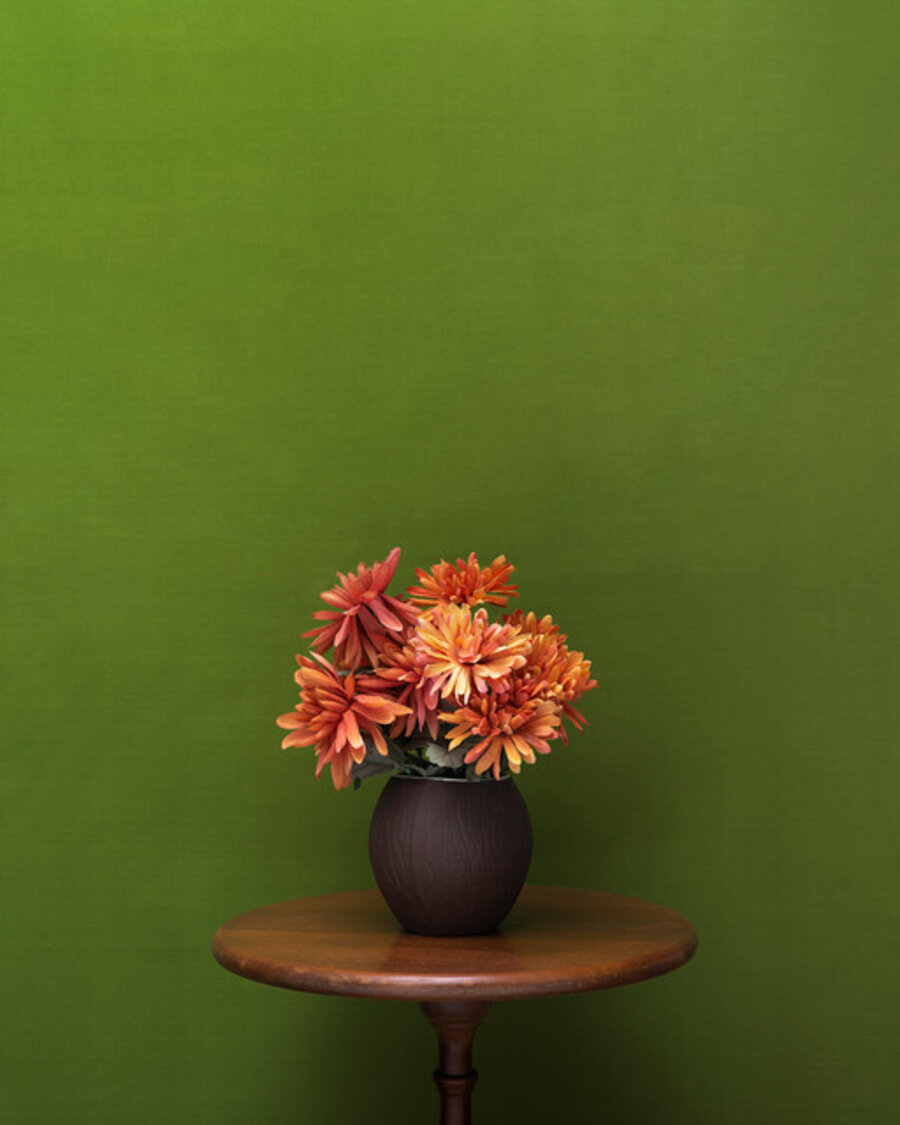 Coconut Vase
