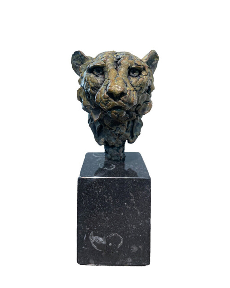 Cheetah Head Study