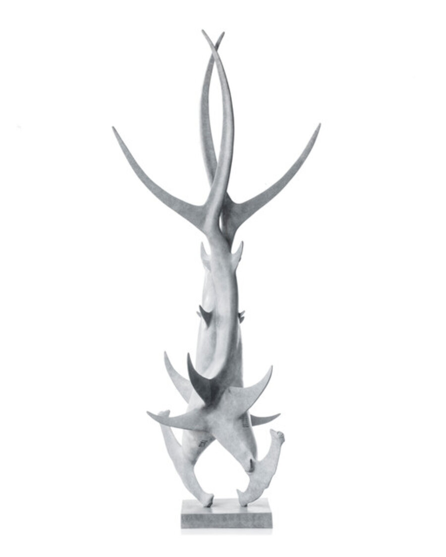 Double Helix Hammerhead