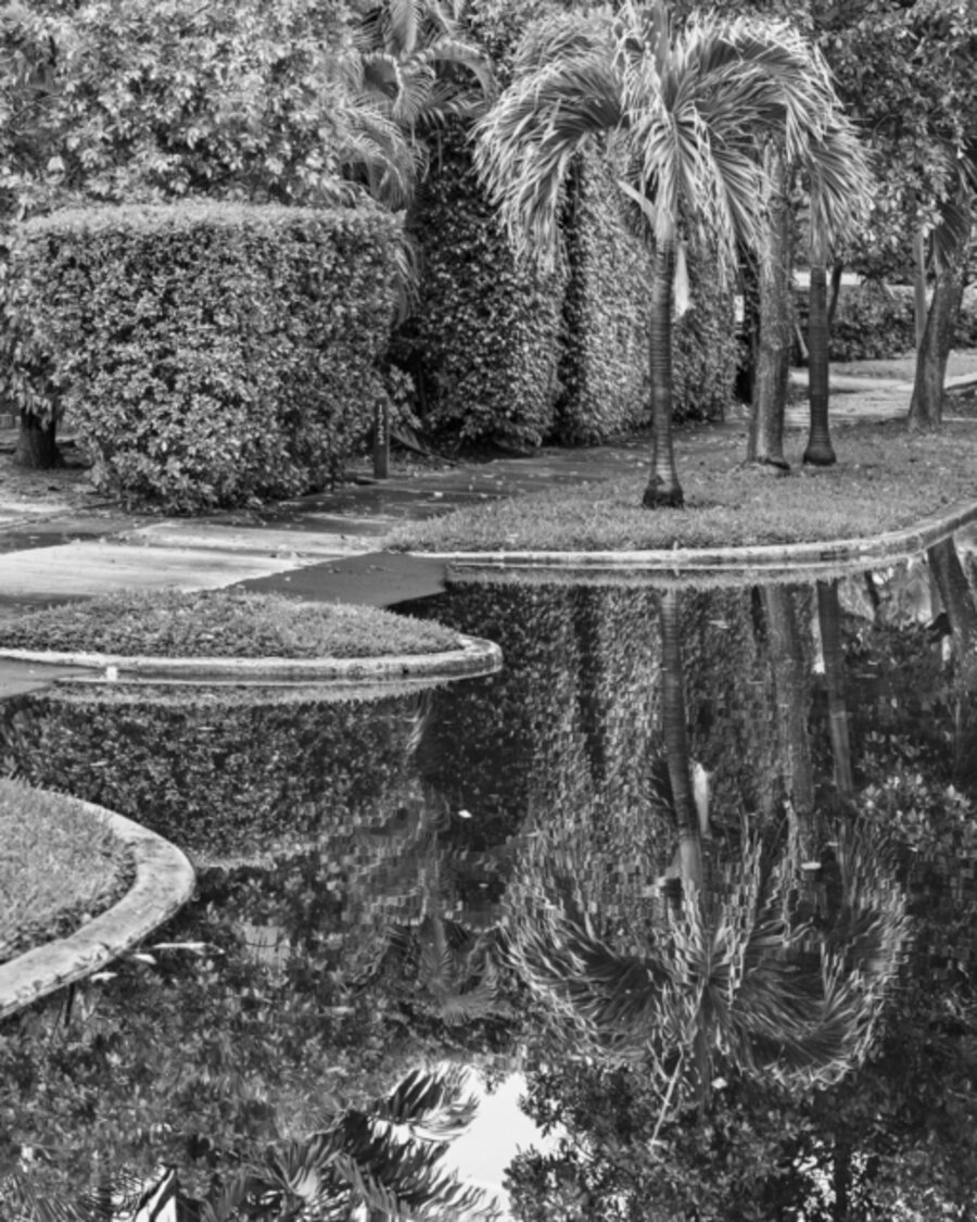 Flooded Street, Miami Beach
