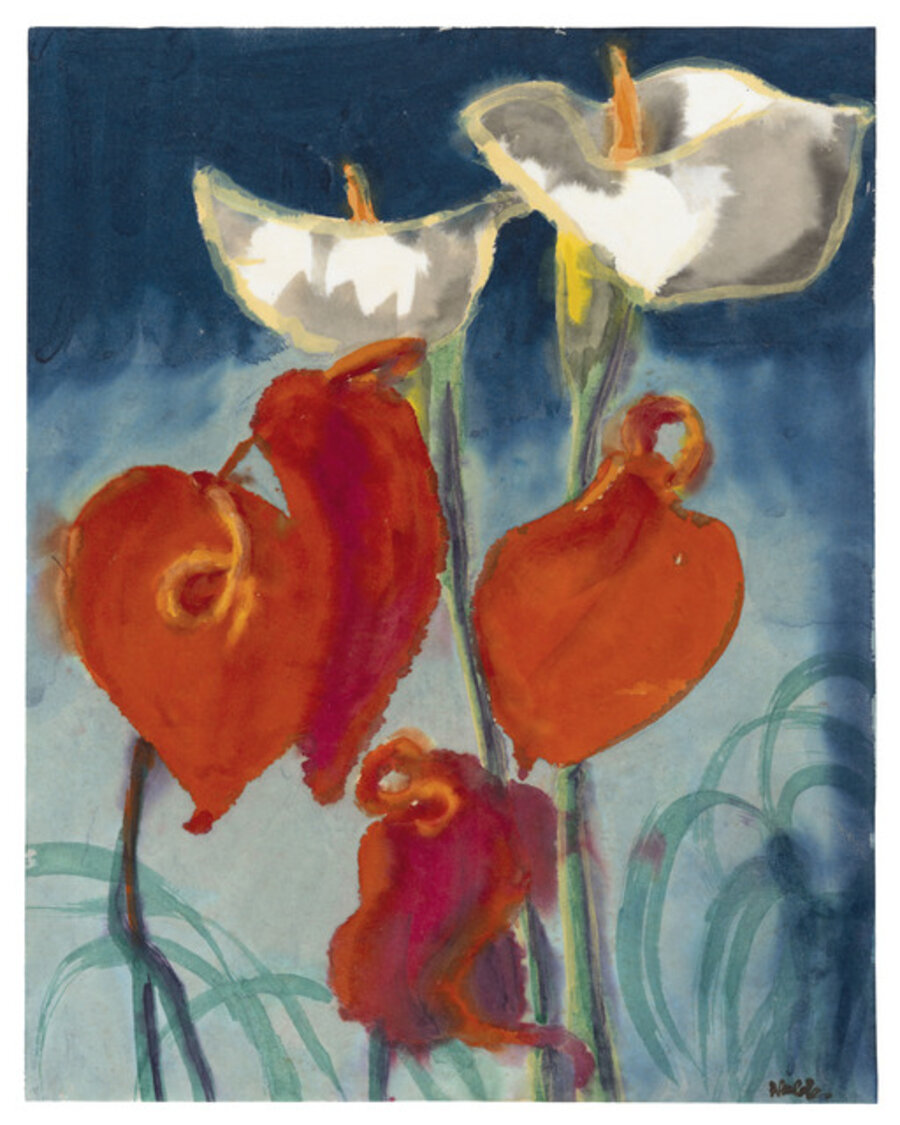 Callas und Anthurien