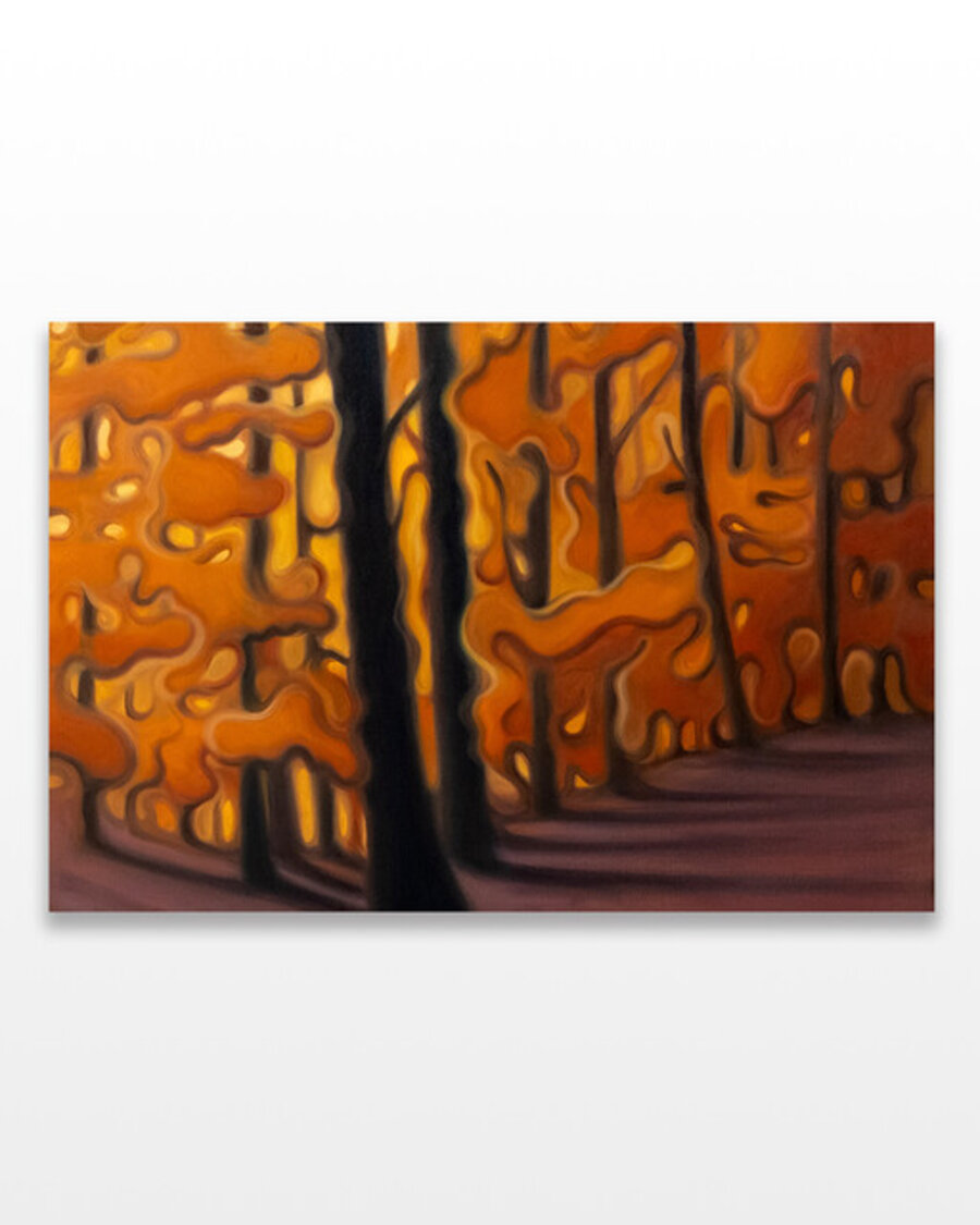 Light through Forest