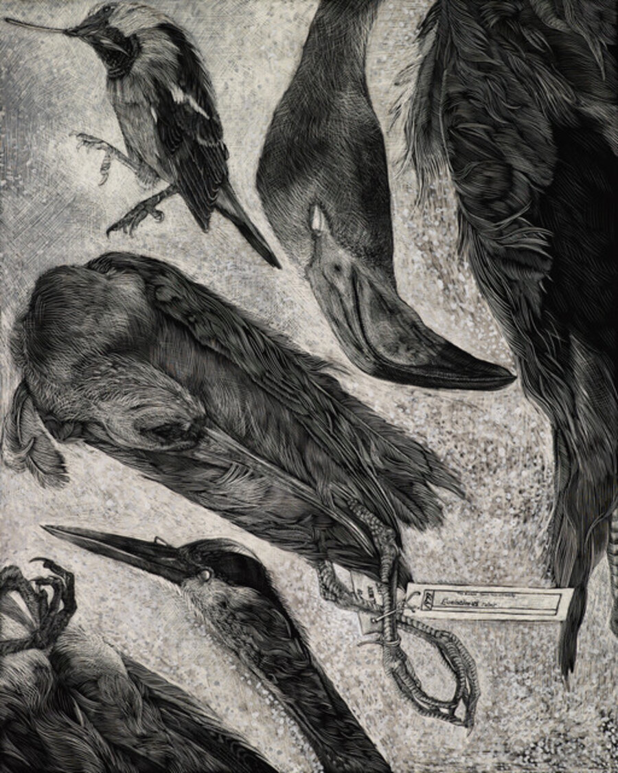 Birdsong